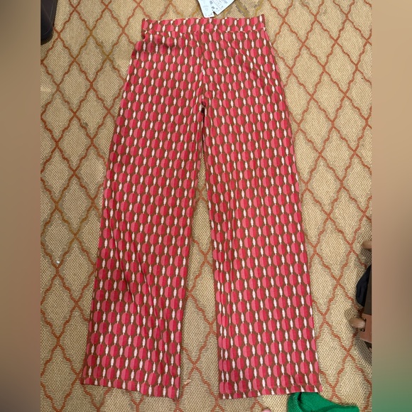 Beautiful and cozy Zara Pants- size large New with Tags - Picture 1 of 1